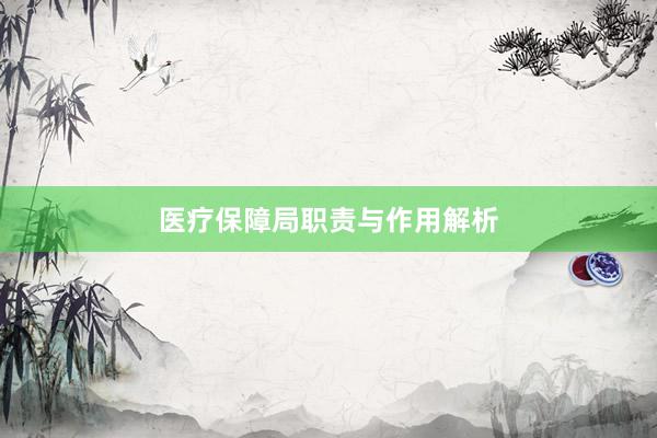 医疗保障局职责与作用解析