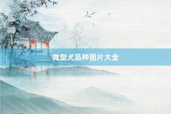 微型犬品种图片大全