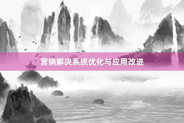 营销解决系统优化与应用改进